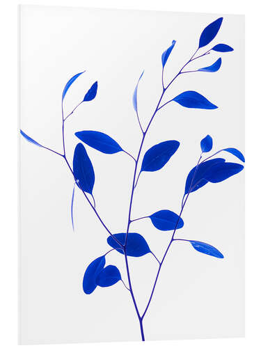 Print på skumplade Delicate branch - Classic blue