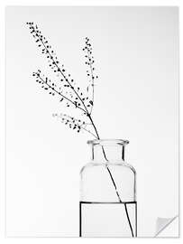 Wall sticker Bottle with branch II