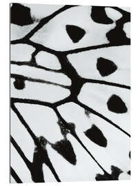 Gallery print Butterfly wings