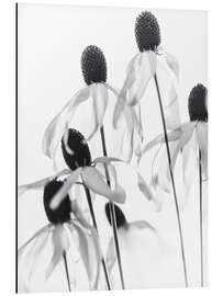 Magnettafel Florale Transparenz