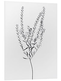 Foam board print Delicate plant I