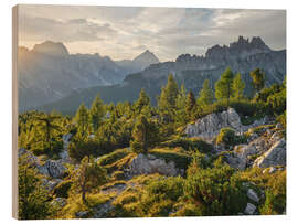 Obraz na drewnie Südtirol III