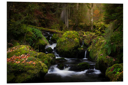 PVC-tavla Small waterfall in the Black Forest in Germany