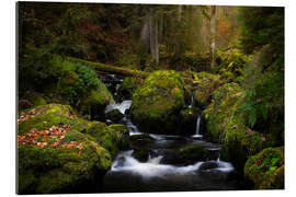 Gallery print Small waterfall in the Black Forest in Germany