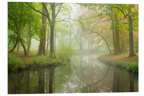 Hartschaumbild Frühlingswald Liesbos in Holland