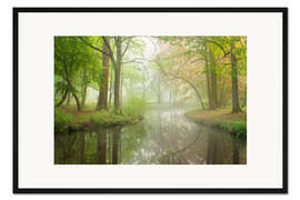 Gerahmter Kunstdruck Frühlingswald Liesbos in Holland