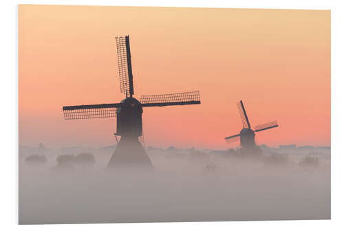 Foam board print Windmills on a misty morning