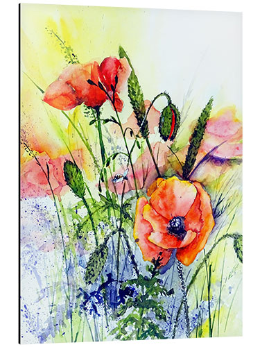 Aluminium print Wild poppies