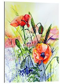 Tableau en plexi-alu Coquelicots sauvages