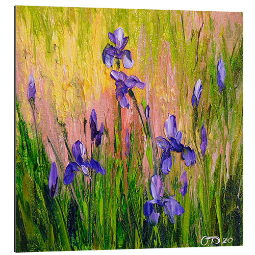 Aluminium print Irises