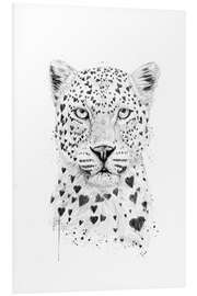 Foam board print Lovely leopard