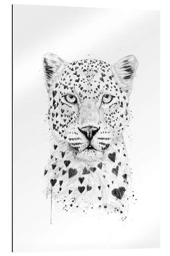 Gallery print Lovely leopard