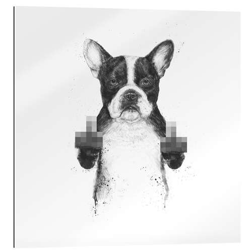 Gallery print Censored dog