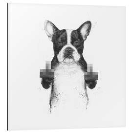 Magnettafel Zensierter Hund