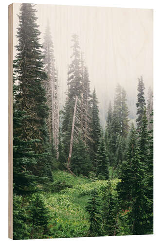 Hout print Fog in the coniferous forest