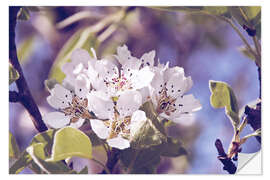 Autocolante decorativo Flor de maçã