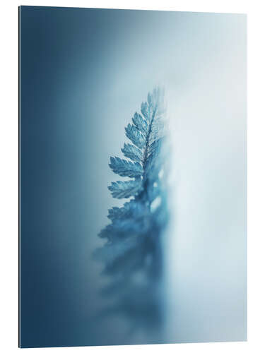 Gallery print Blue fern