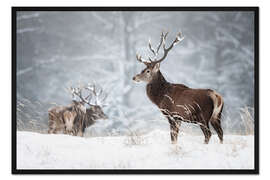 Gerahmter Kunstdruck Hirsche im Schnee
