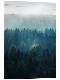 Acrylic print Forest shades