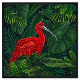 Gerahmter Kunstdruck Scharlachroter Ibis - Vasilisa Romanenko