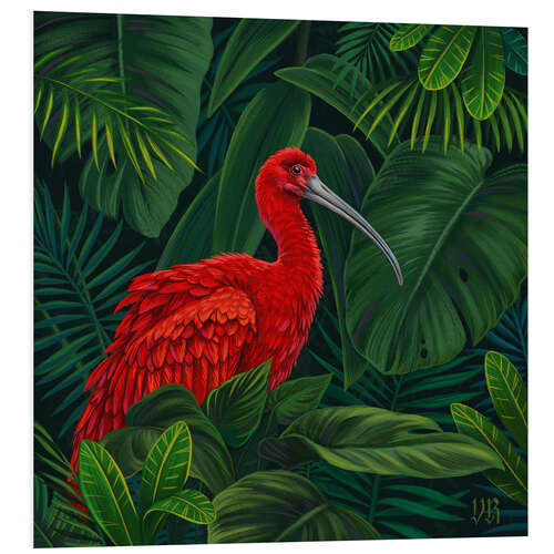 Obraz na PCV Scarlet Ibis