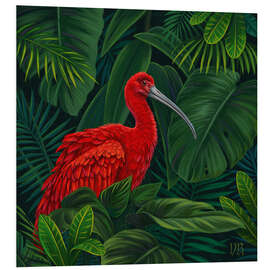 Foam board print Scarlet Ibis