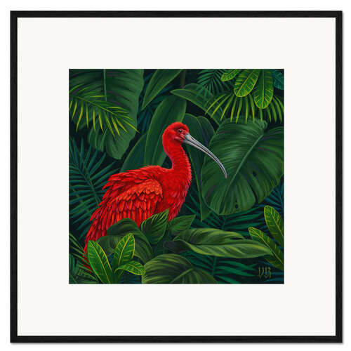 Framed art print Scarlet Ibis