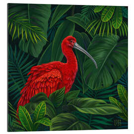 Galleriprint Scarlet Ibis