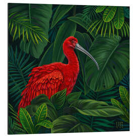 Magnettafel Scharlachroter Ibis