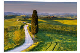 Quadro em alumínio Creta Senesi, Toscana