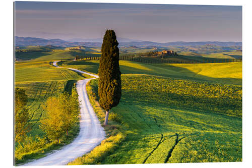 Gallery print Crete Senesi, Tuscany