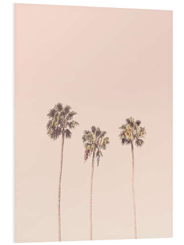 Foam board print Blush Palm Trees