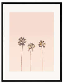 Gerahmter Kunstdruck Palmen in Zartrosa