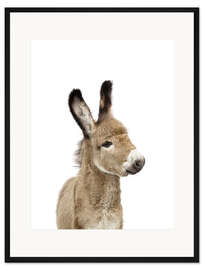 Gerahmter Kunstdruck Babyesel
