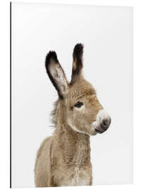 Magnettafel Babyesel