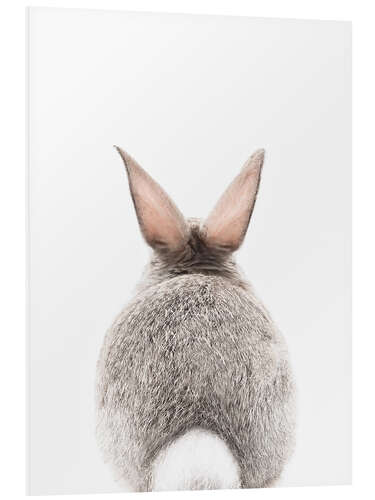 Foam board print Bunny Tail