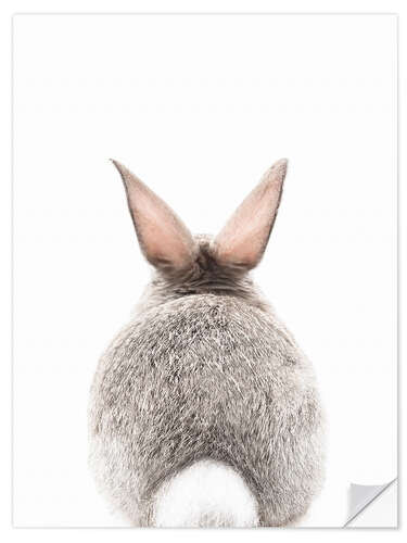 Naklejka na ścianę Bunny Tail