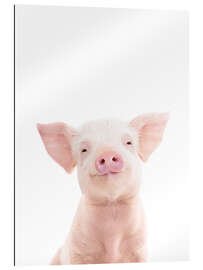 Gallery print Piglet