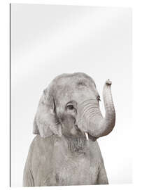 Gallery print Baby elephant