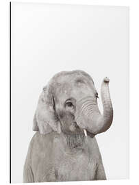 Magnettafel Babyelefant