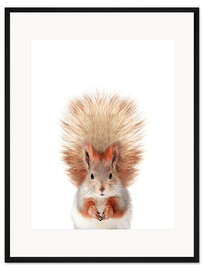 Gerahmter Kunstdruck Babyeichhörnchen