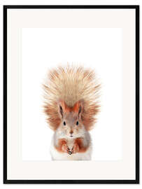 Framed art print Baby Squirrel