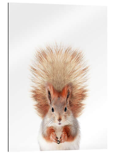 Gallery print Baby Squirrel