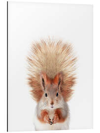 Magnettafel Babyeichhörnchen