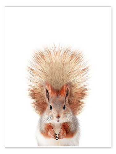 Poster Bébé écureuil