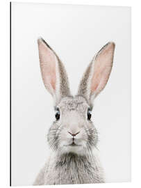 Alumiinitaulu  Bunny Portrait - Sisi And Seb