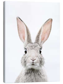Stampa su tela  Ritratto di un coniglietto - Sisi And Seb
