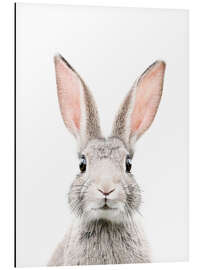 Magnettafel Hasenporträt