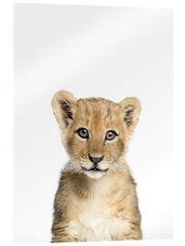 Akryylilasitaulu  Baby Lion - Sisi And Seb