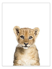 Poster Jonge leeuw